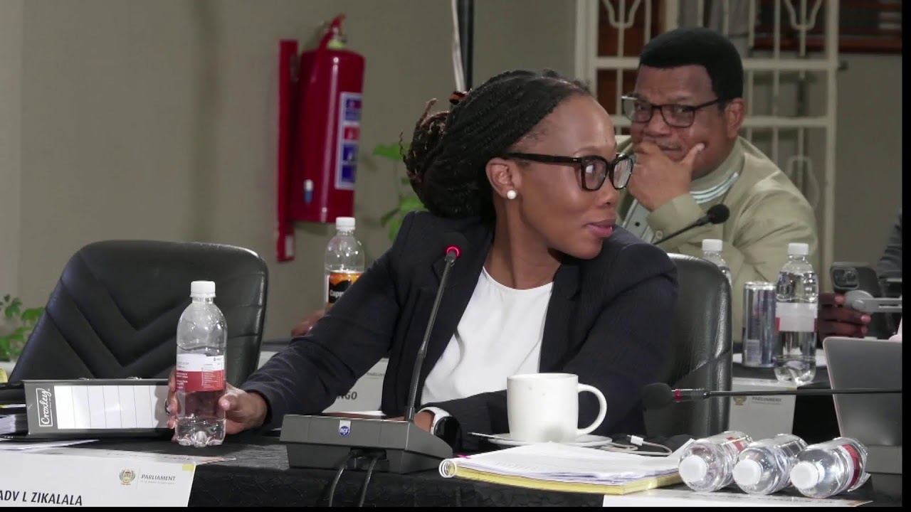LIVE: Vusimuzi &ldquo;Cat&rdquo; Matlala Appears Before the Parliamentary Ad Hoc Committee