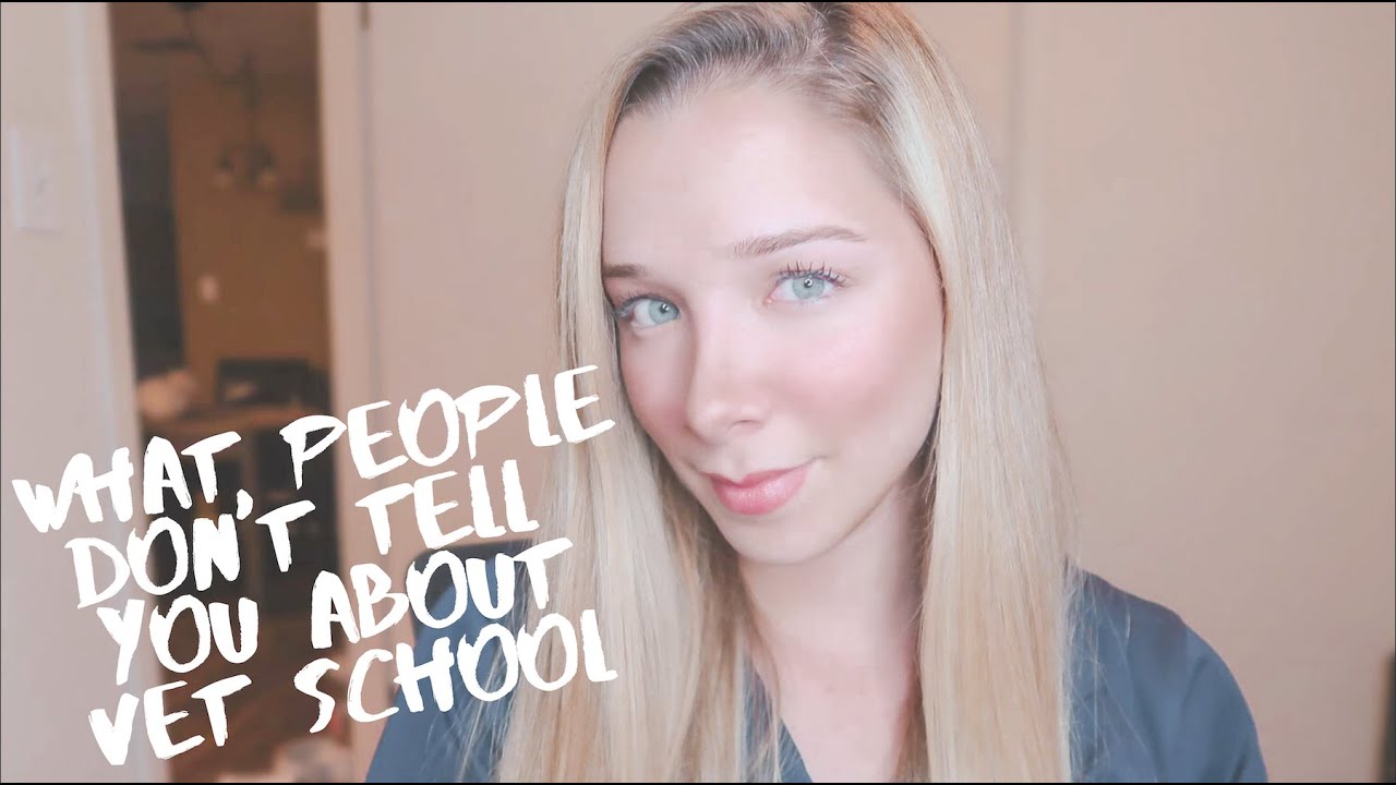 WHAT PEOPLE DON'T TELL YOU ABOUT VET SCHOOL