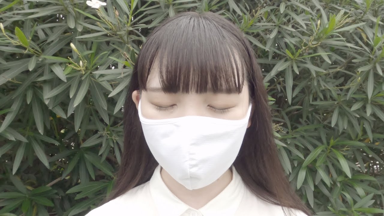 寿々木ここね- FEVER　 (Official Music Video)