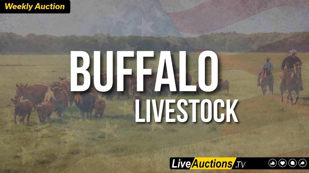 Buffalo Livestock Marketing