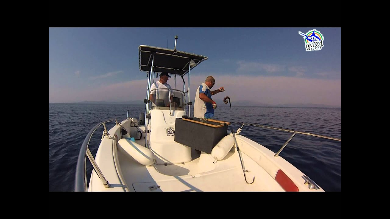 Palamito d'Agosto in Sardegna