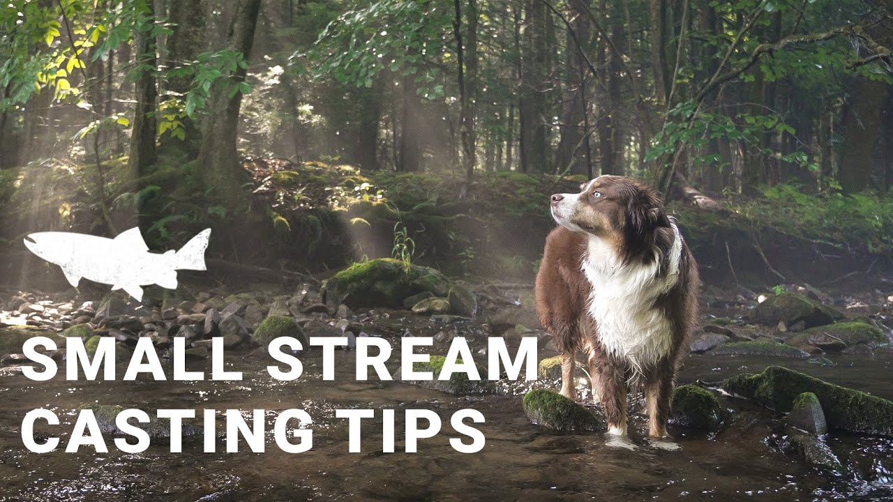 Twelve Small Stream Fly Casting Tips -- Riverside