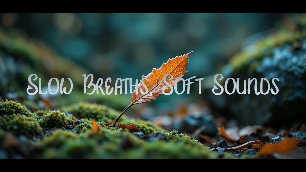 Slow Breaths, Soft Sounds 🍃 _  Relaxing Audio