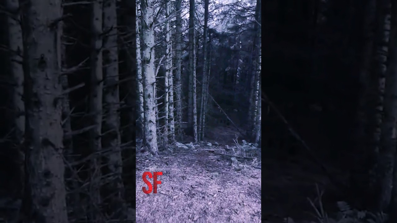 STRANGE ENCOUNTER On the Appalachian Trail!? 😱 #scary #shorts #ghost