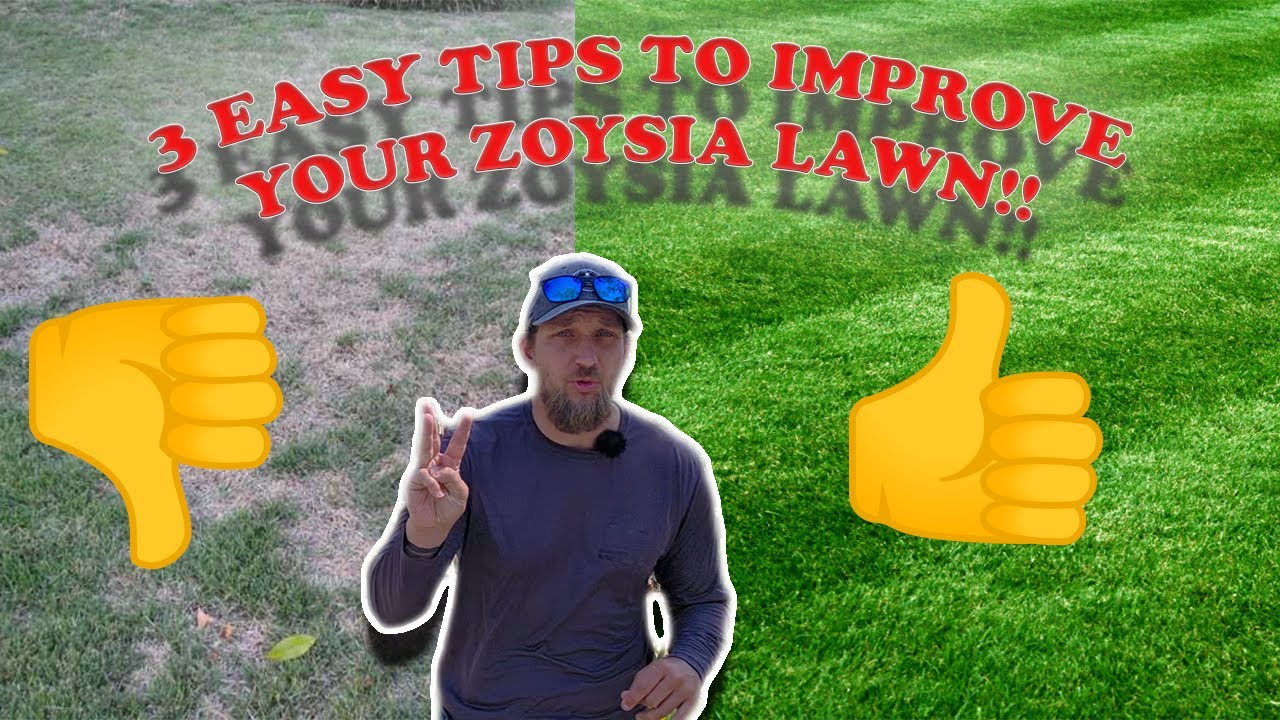 3 Quick and Easy Tips to Have Thick and Green Zoysia Grass!!!