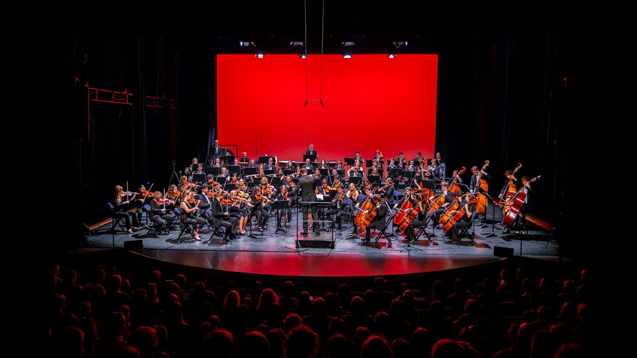 Limburgs Jeugd Symfonie Orkest | Dvorák 9th Symphony conducted by Sander Teepen