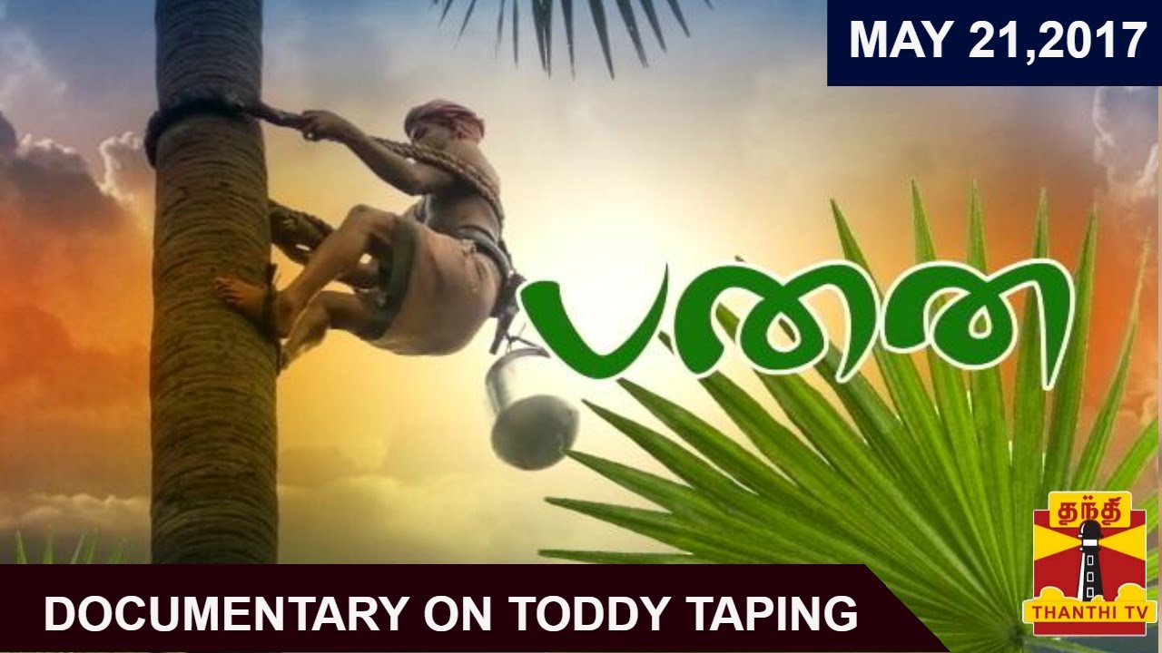 (21/05/2017) Panai | A Special Documentary on Toddy Taping | Thanthi TV