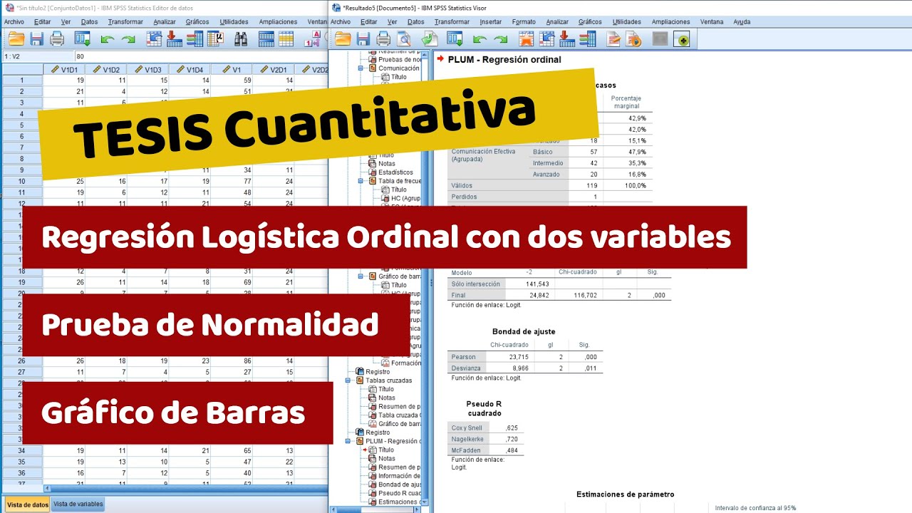 REGRESIÓN LOGÍSTICA ORDINAL, SPSS ESTADÍSTICA PARA TESIS DE PREGRADO, MAESTRÍA Y DOCTORADO