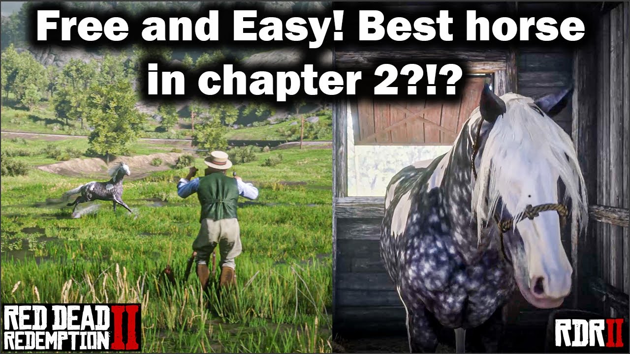 Бесплатно и легко получить миссурийского фокстроттера во второй главе — Red Dead Redemption 2 — R...