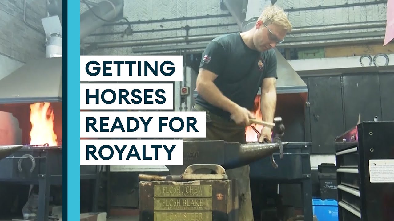 Behind-the-scenes as military horses gear up for Platinum Jubilee celebrations