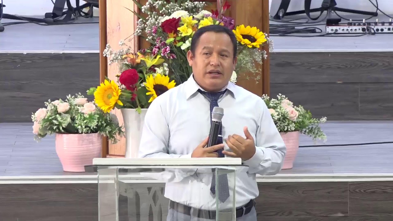 SERVICIO DOMINGO MAÑANA (01/02/2026)