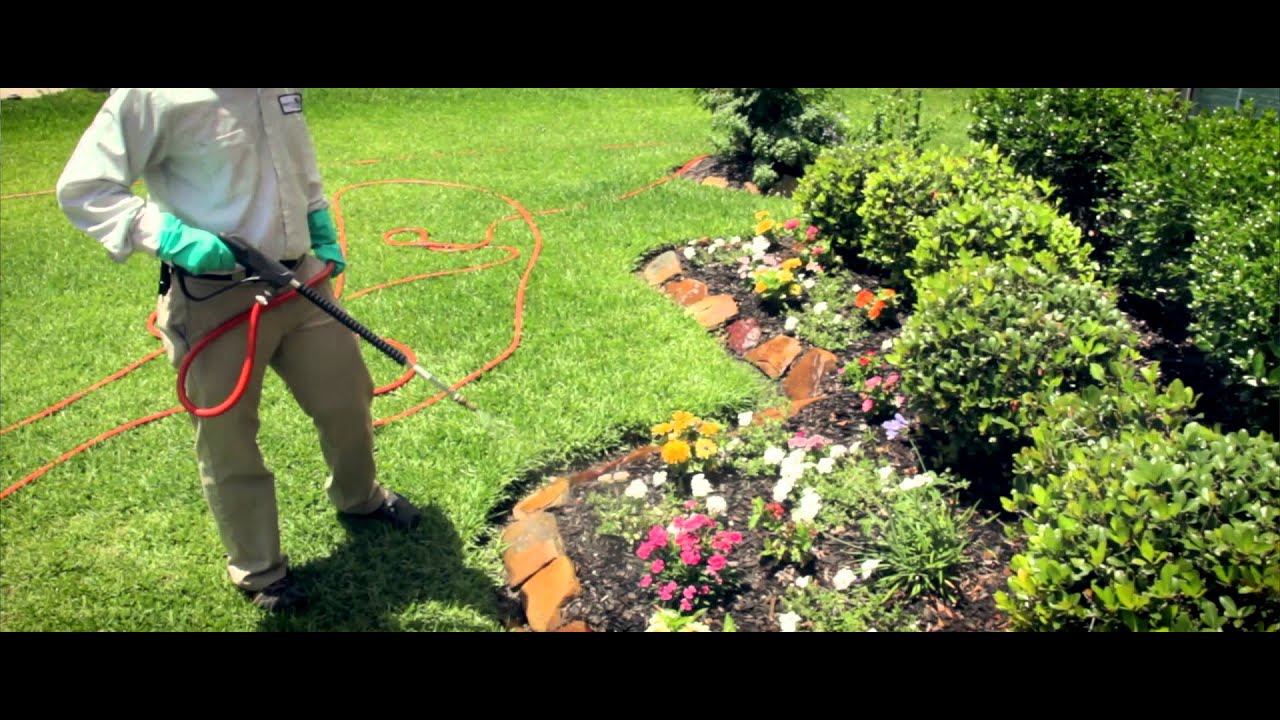 Welcome to Preventive Pest Control