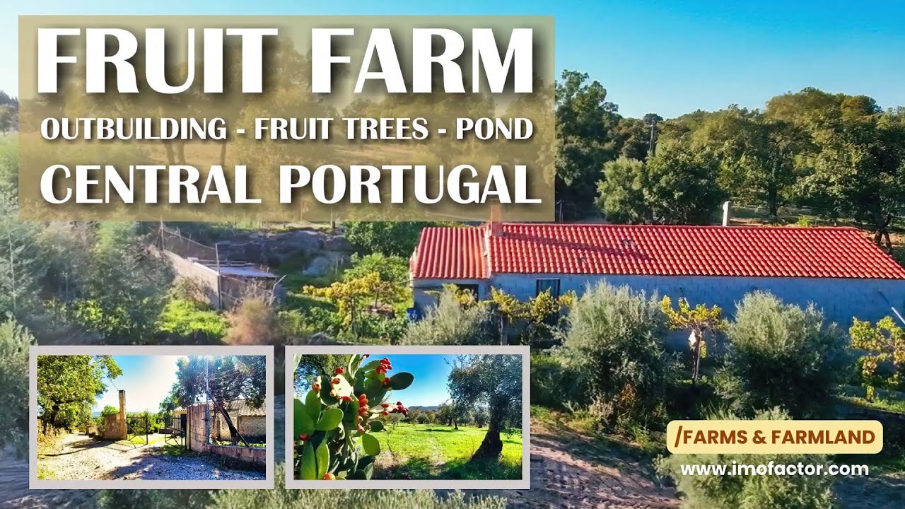 🌾 Fruit Farm For Sale - Outbuildings - Olive Grove - Fruit Trees - Pond | Portugal | Unavailable