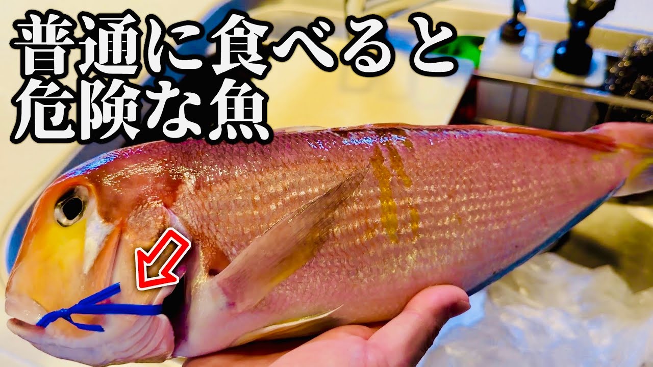 【気をつけて】この魚を普通に捌いてはいけない理由。