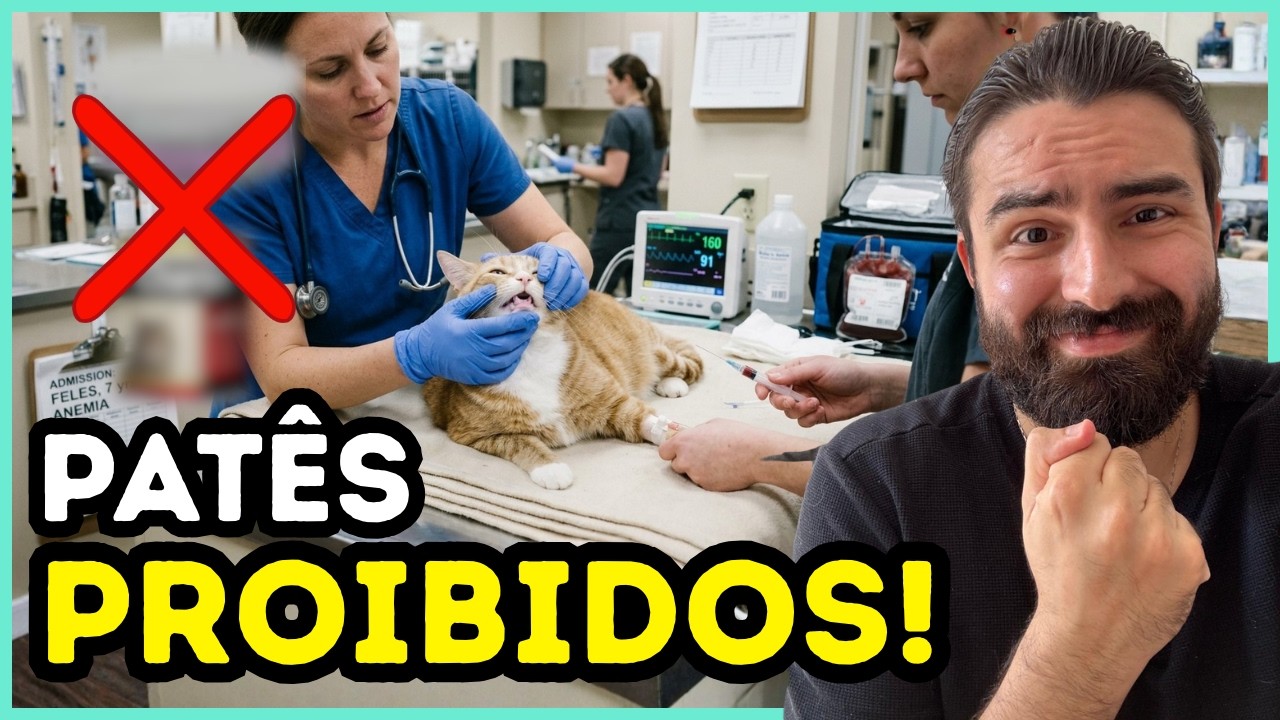 Esses São Os ÚNICOS PATÊS Que Eu PROÍBO De Dar Aos Gatos!