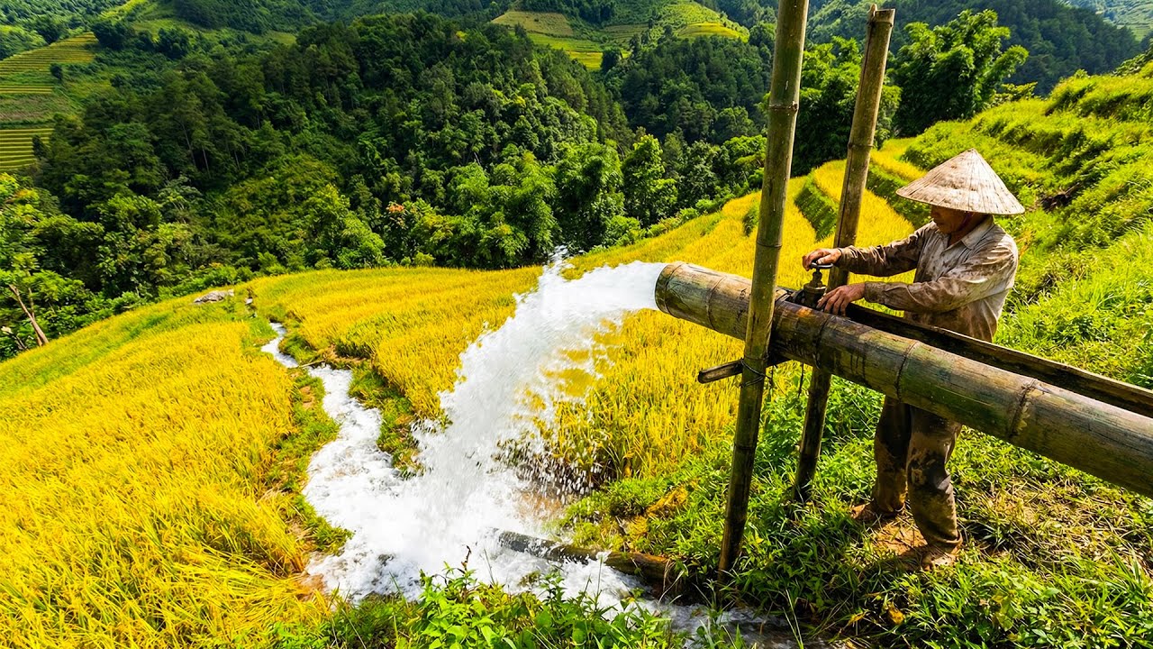 Forcing Water into Terraced Fields – Turning a Dry Hillside into a Flooded Rice Farm