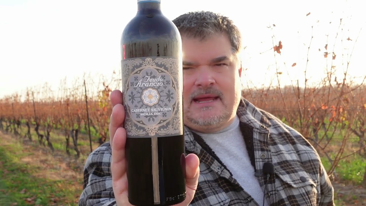 SURPRISING Feudo Arancio 2020 Cabernet Sauvignon (Italy)