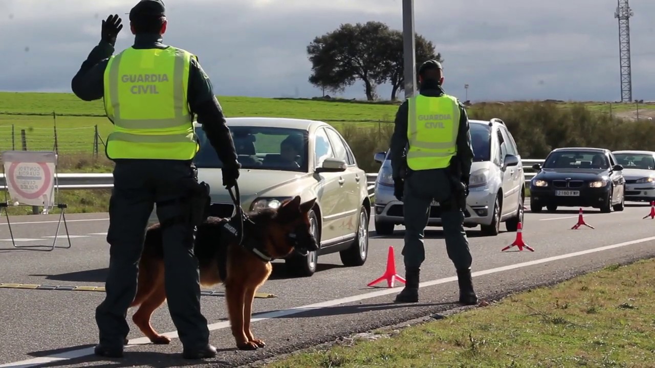 Control de drogas de la Guardia Civil en la A-66