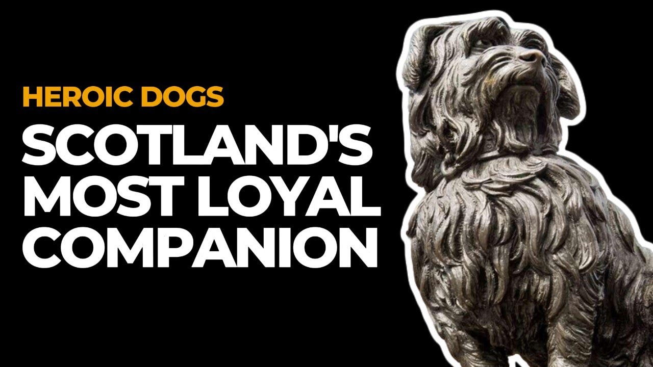 HEROIC DOGS | Greyfriars Bobby - Scotland’s Most Loyal Companion