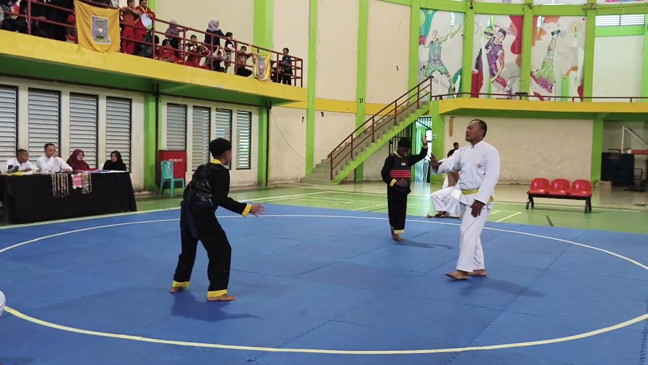 Final himssi vs himssi