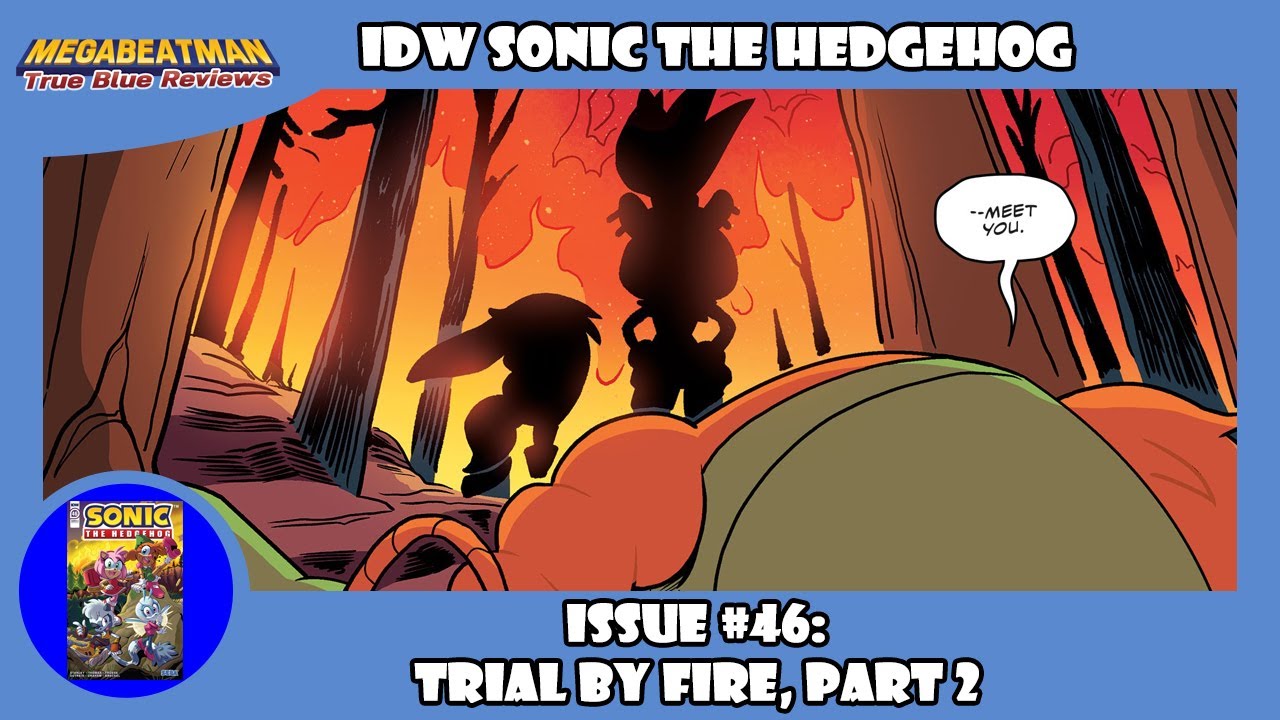 IDW Sonic The Hedgehog #46 | A Comic Review by Megabeatman