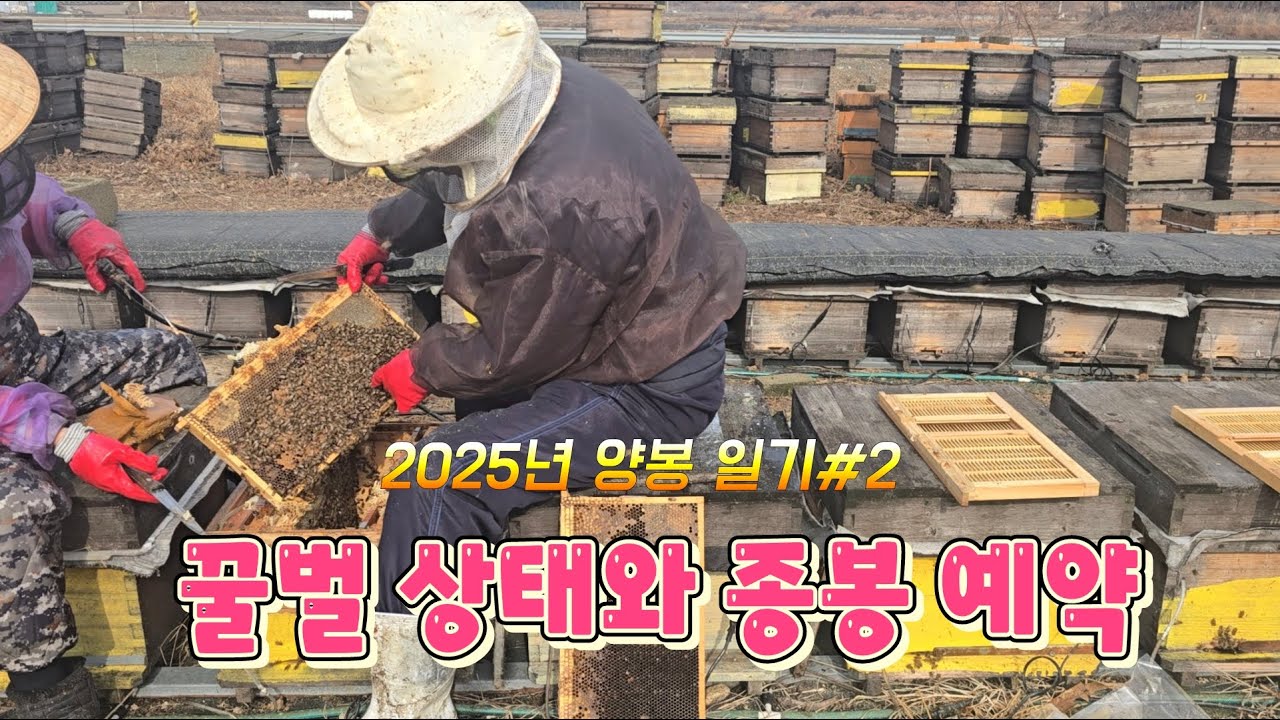 Bee health and brood reservation #bees #beekeeping #brood