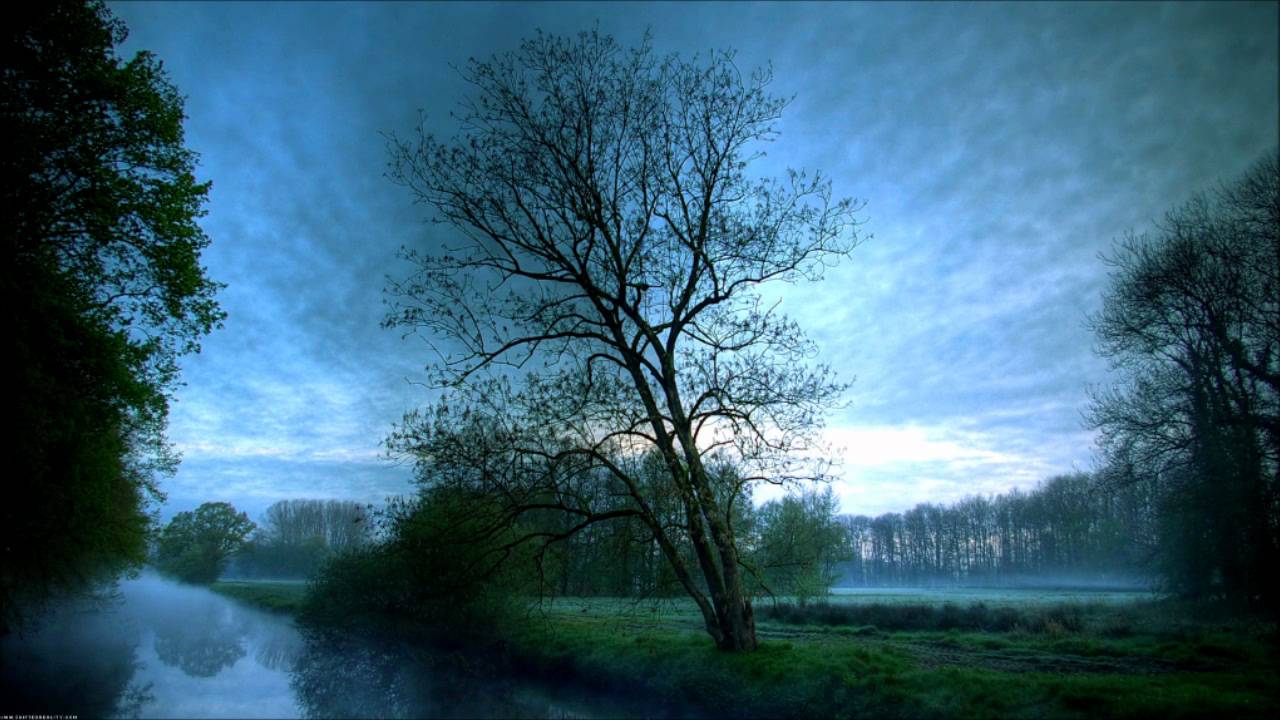 Misja Helsoot - Blue Monkey (Pierre Hiver Remix)