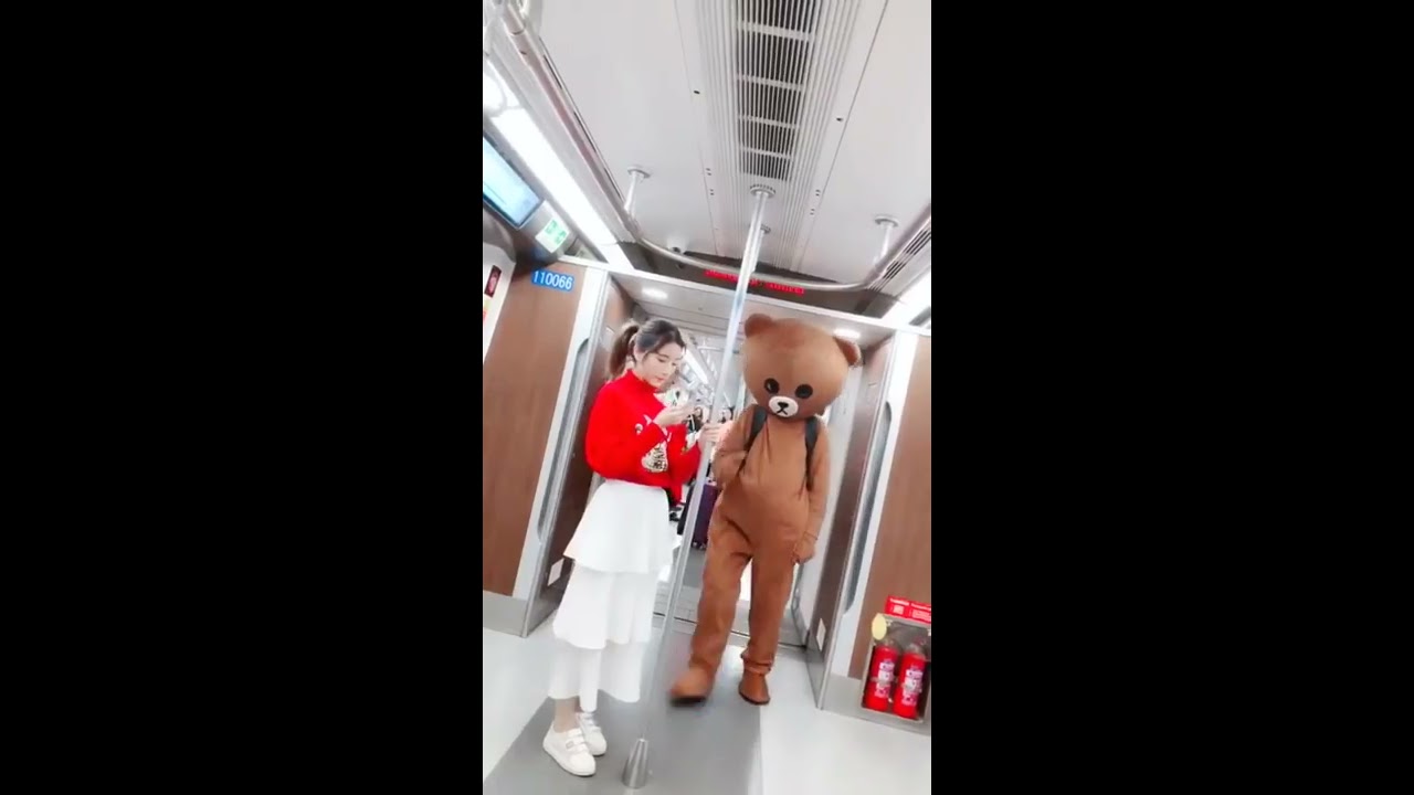 Ursinho distribui panfletos, momentos engra?ados 。Coleção Tik Tok