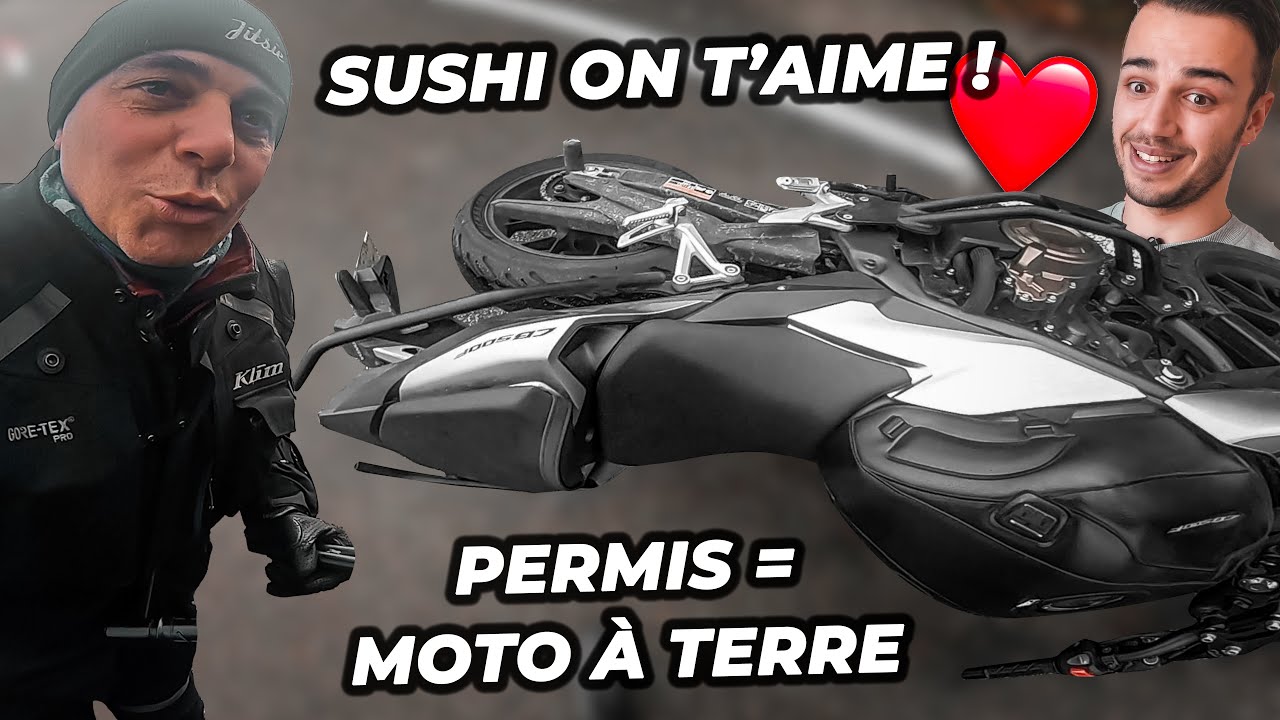 Mon bestie affronte le nouveau permis ! 😨 #1