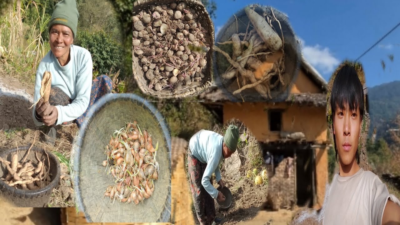 हेल्लो सेवा सेवारो सबोई मा दिदी भई काे काम कस्तो लाग्छ हेरेर कमेन्ट गर्दिनु होला  