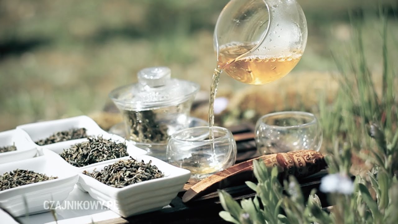 Świeża herbata z prowincji Darjeeling. Herbata Darjeeling. Czajnikowy.pl