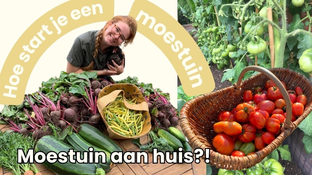 Hoe start je een moestuin? | Beginners tips! | Moestuin aan huis