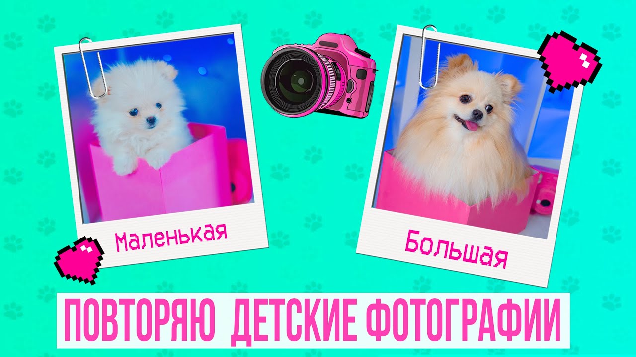 СОБАЧКА ЭЛИС ПОВТОРЯЕТ СВОИ ДЕТСКИЕ ФОТКИ | ЧЕЛЛЕНДЖ