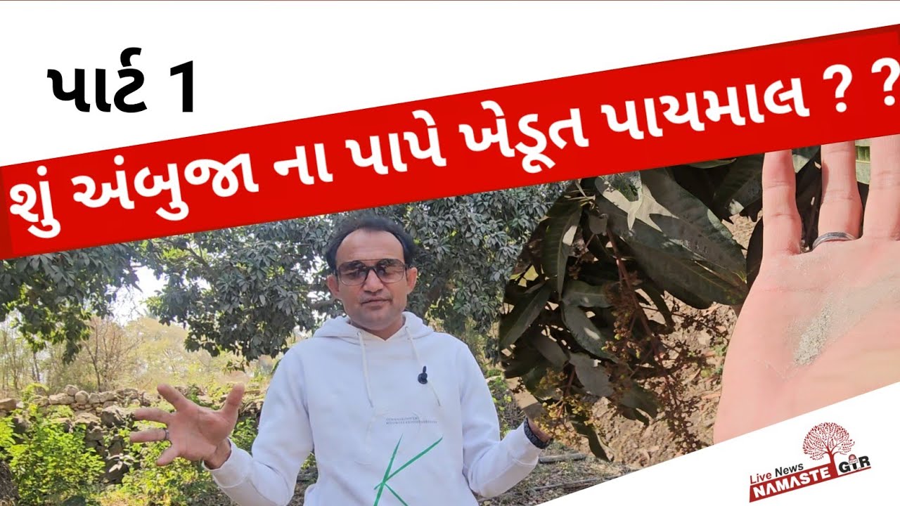 Kodinar સિમેન્ટ કંપની નું કારનામું ? 