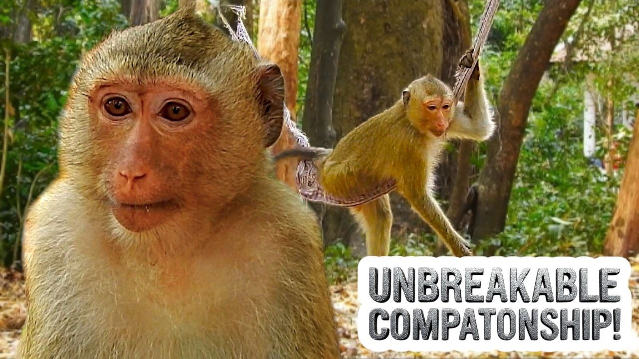 Watch Now! RAINBOW’s Playful Day with Brothers & Sisters Creates Unbreakable Companionship