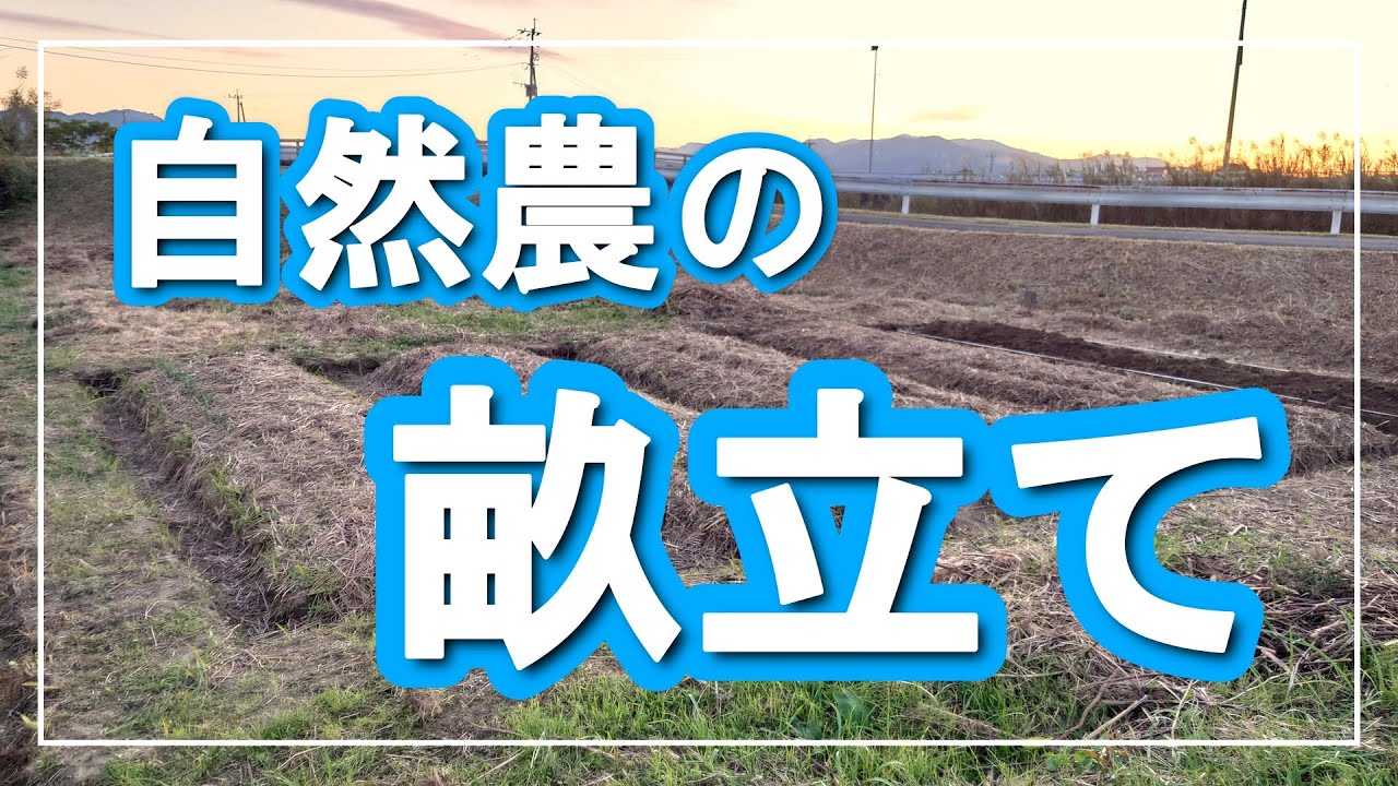 【自然農】畝立て作業
