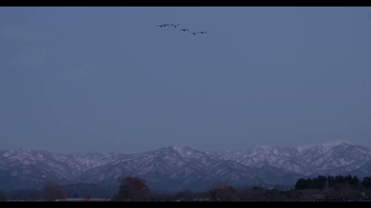 Hyoko Weekly 2026 02 17 No3