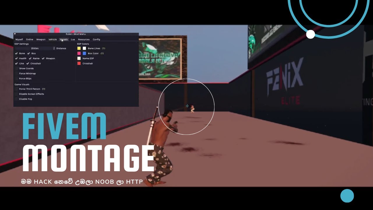 FiveM Montage 2024