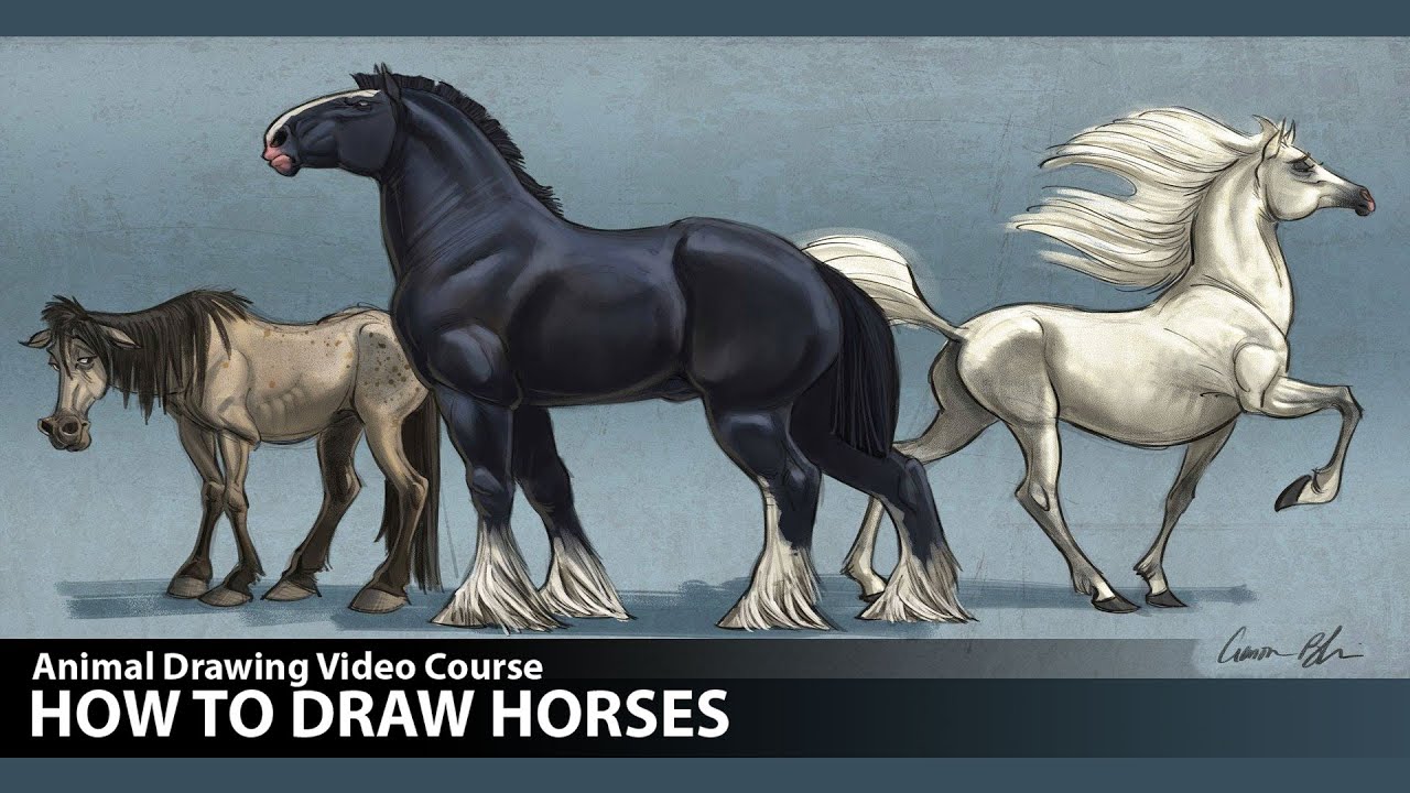 Drawing Lessons - How to Draw Horses (Preview)