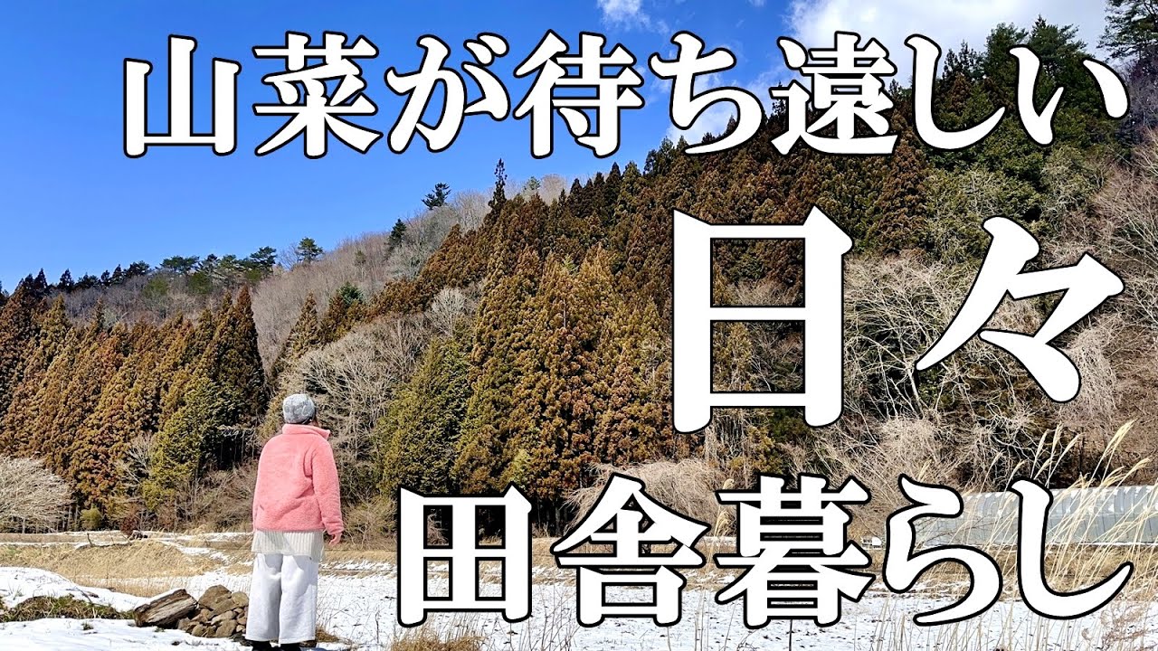 【山菜探し】季節外れの雪で山菜の成長が待ち遠しい日々。畑作業とアマゴ。寒い時はおでん。自然豊かな山奥暮らしの日々｜村暮らし｜移住｜料理【標高800mの田舎暮らし】