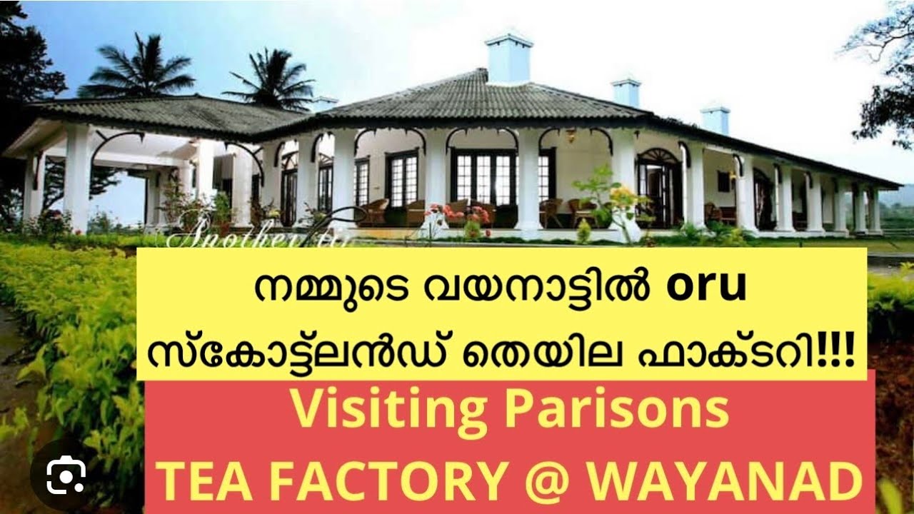 #VLOG 67- PARISONS PLANTATION TEA FACTORY - MANUFACTURER( LIBERTY / ADITI ) #tea #manufacturing