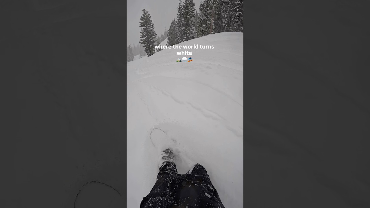 Рай 🏔️🌨️ #сноубординг #мамонтоваягора #горы #снежныедни