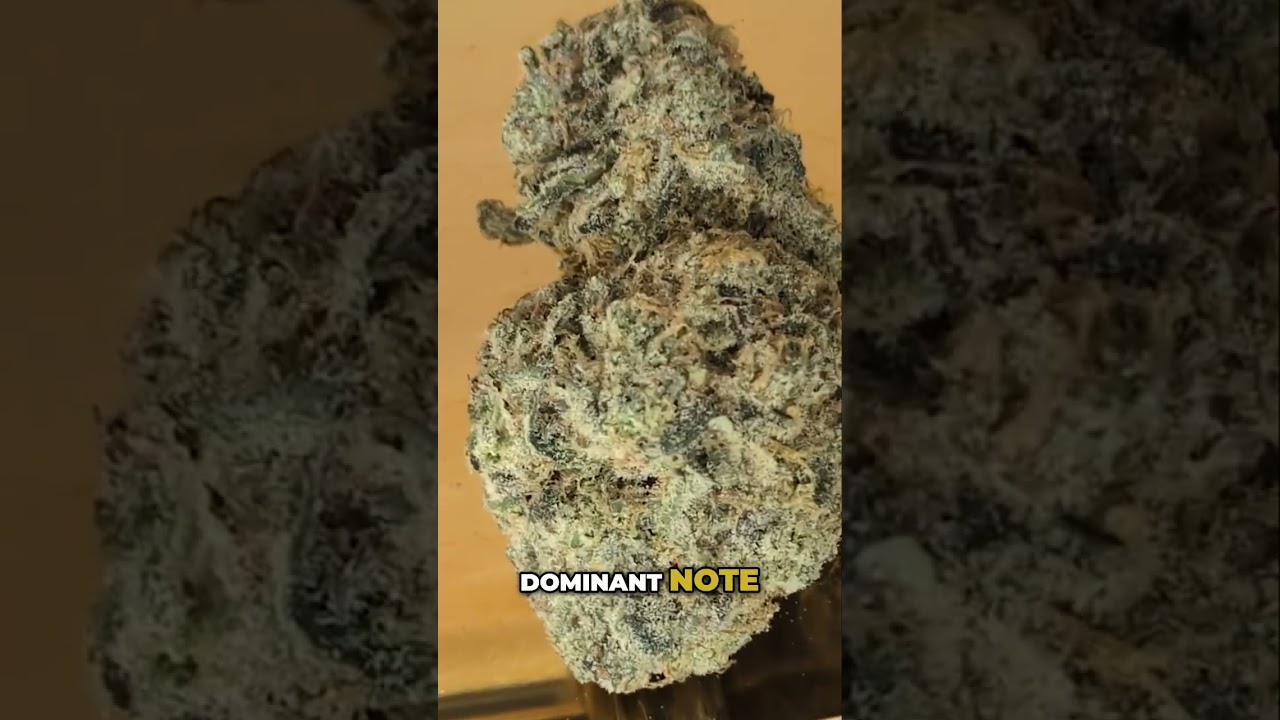 Pineapple Upside Down Cake Strain: More Than Just Pineapple!