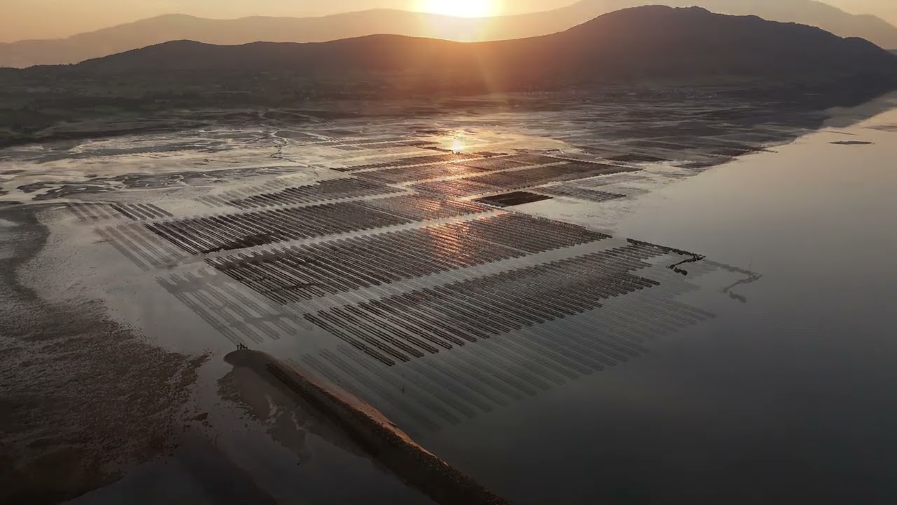Sunset at Greenore Port,  Carlingford Lough and The Oyster Beds