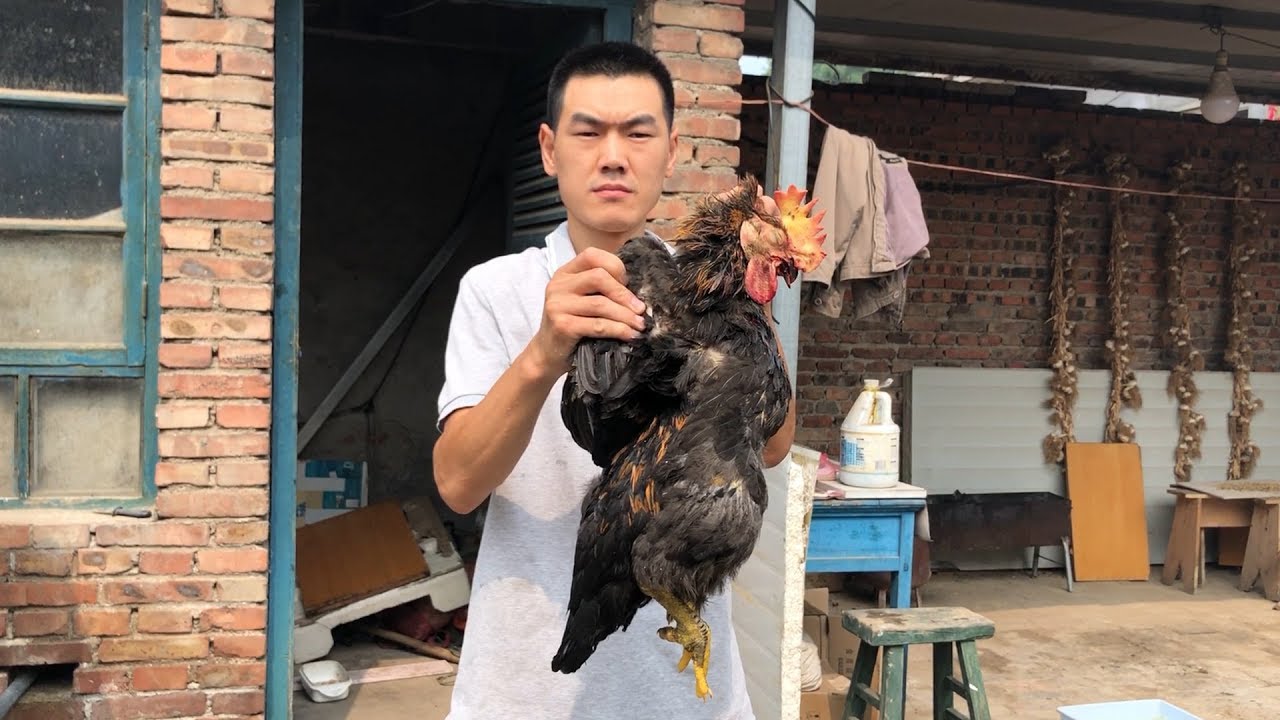 【食味阿远】阿远第一次做“叫花鸡”，烧了俩小时出锅，四叔说这鸡吃着不错 | Shi Wei A Yuan