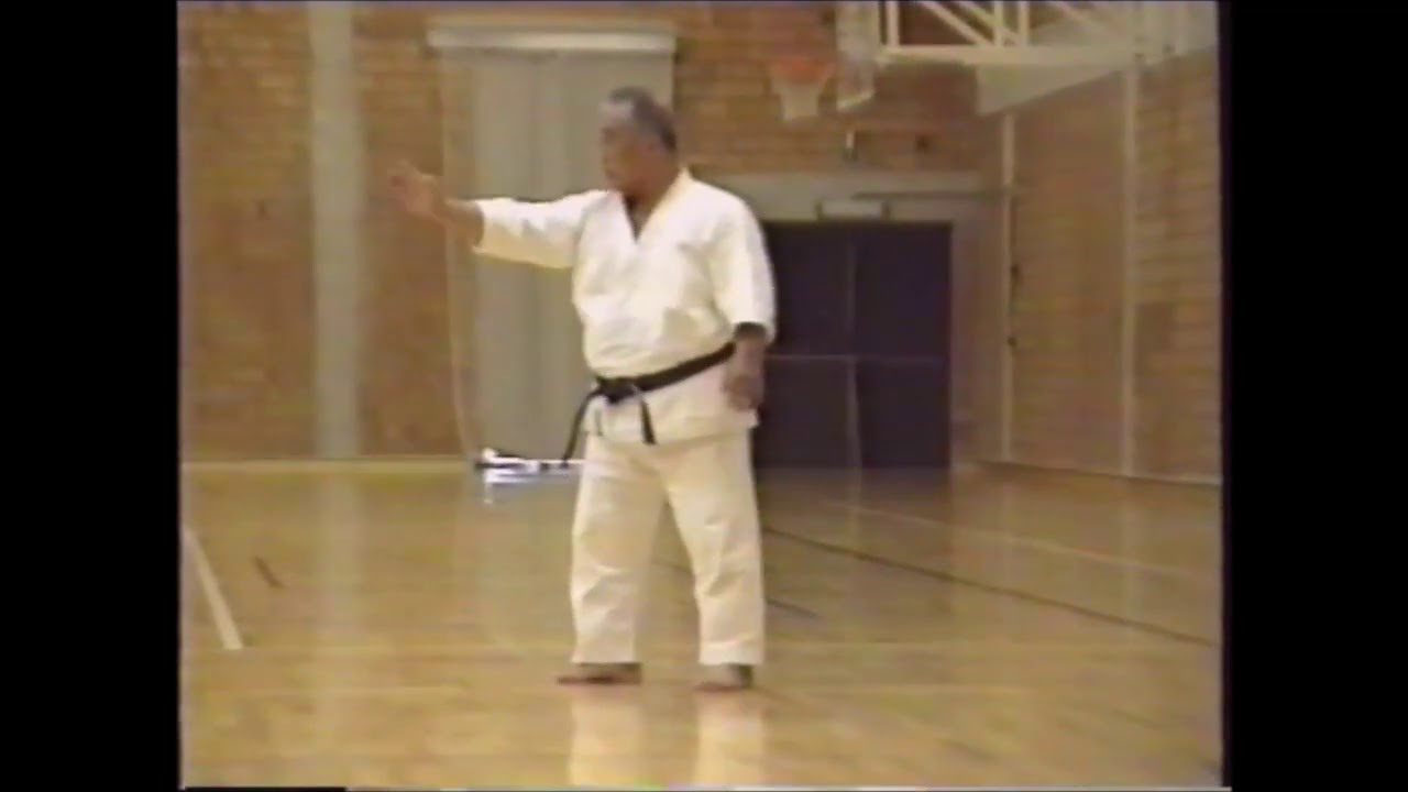 Seminar Taiji Kase, Hasselt Belgium 1993, part 2.