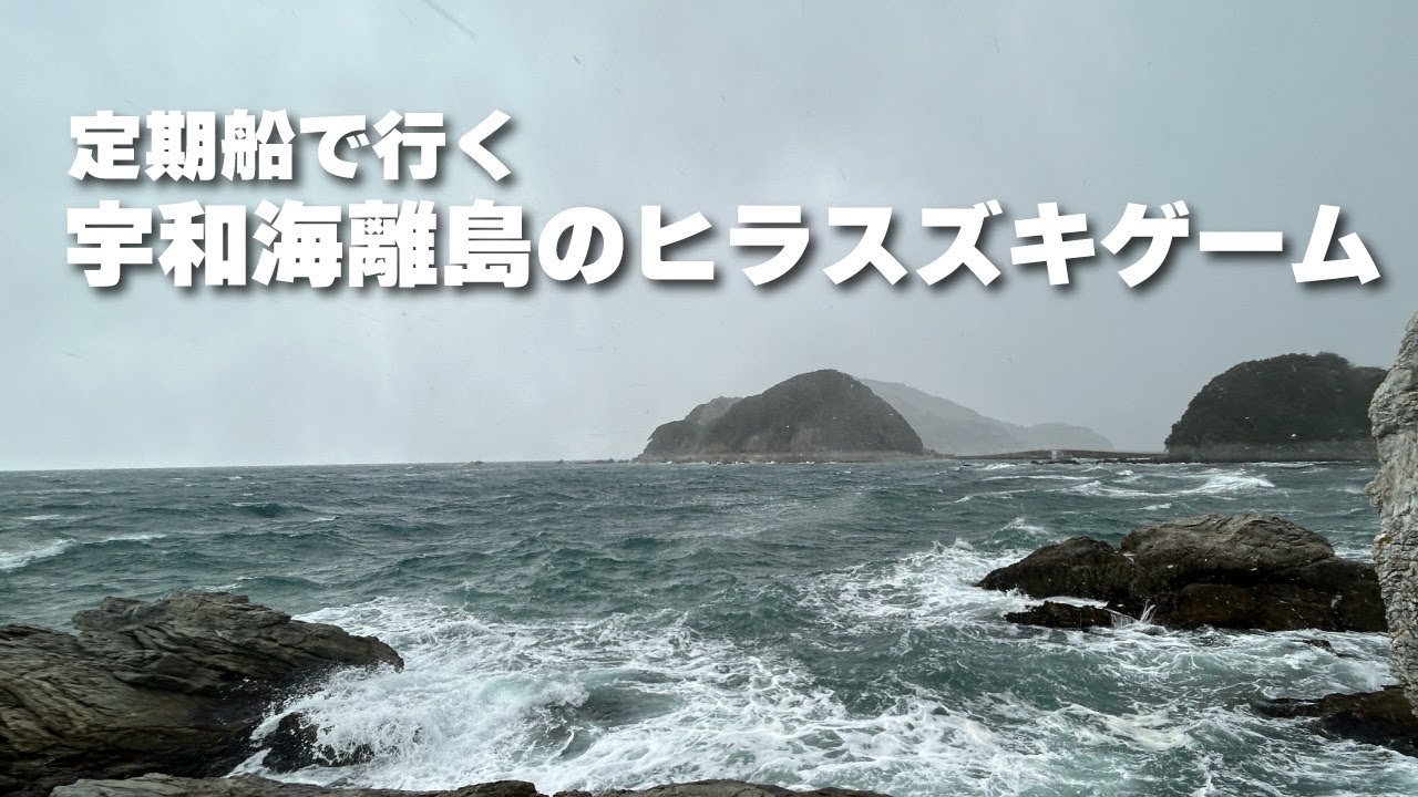 定期船で行く宇和海離島のヒラスズキゲーム