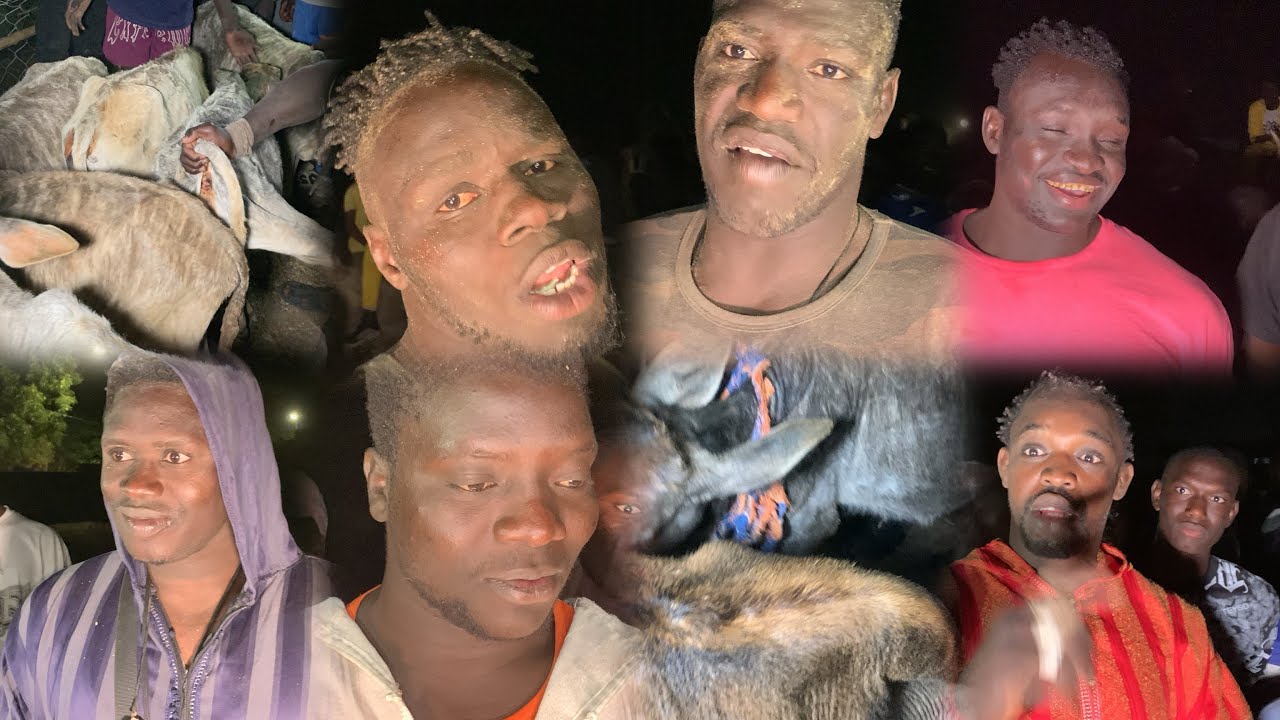 Partages des Boeufs et Réactions des Lutteurs Ngagne Sene Lou Rafete sur Niokhor Alias à Fatick 
