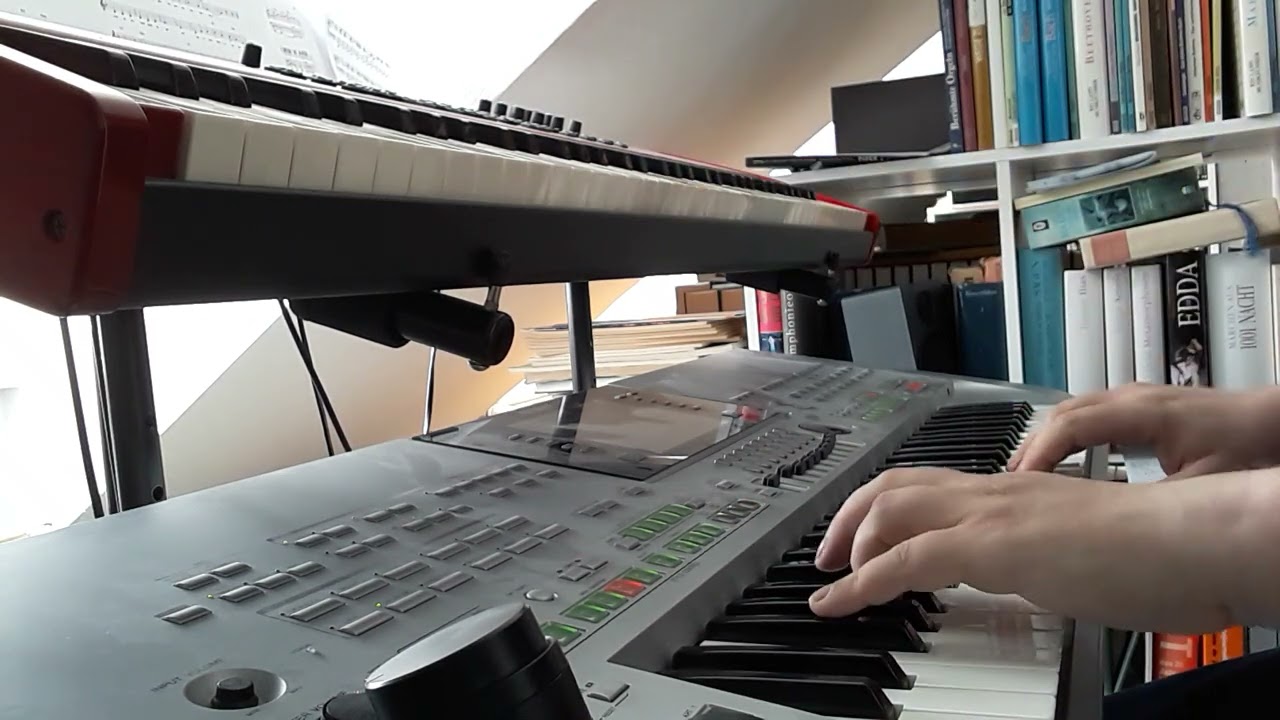 Tulpen aus Amsterdam - Ralf Arnie Cover