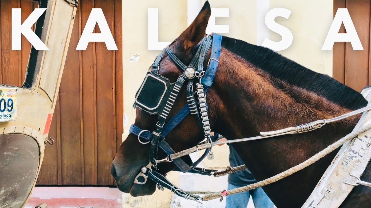 Kalesa Ride Experience | Tour Around The Heritage of Vigan City Ilocos Sur